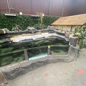 Rajang's Forest exhibit 140921