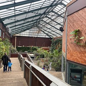 Rajang's Forest 140921