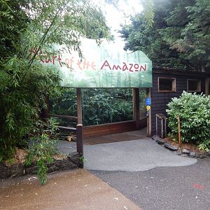 Heart of the Amazon entrance 140921
