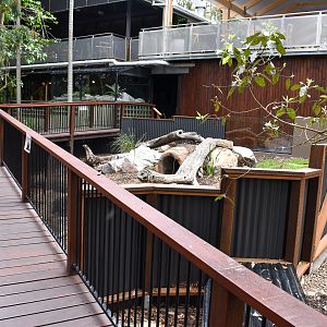 Renovated Wombat Enclosure