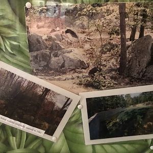 Photos of Pre-Renovation Chimpanzee Habitat