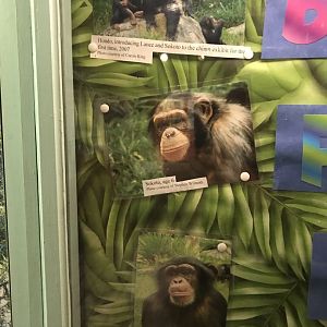 Photos of Hondo and Young Lance and Sokoto