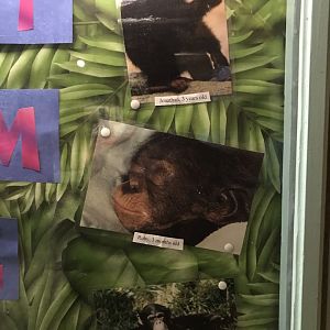 Photos of Young Jonathan, Ruby, and Amy