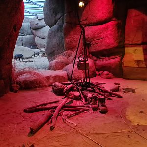 Burgers' desert - Rattlesnake enclosure in the evening