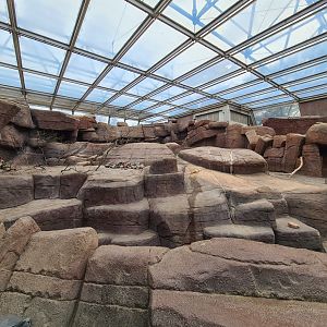 Burgers' Desert - Former bighorn sheep enclosure