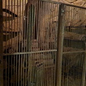 Bush/Desert tunnel - Entrance to the mine display