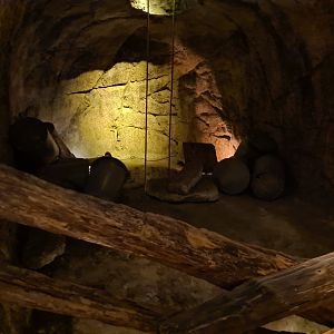 Bush/Desert tunnel - Deeper mine display