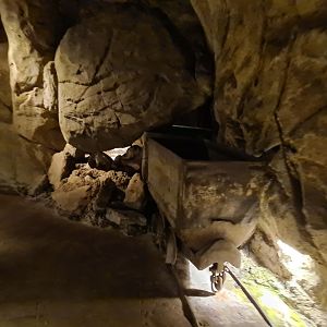 Bush/Desert tunnel - Crashed minecart display