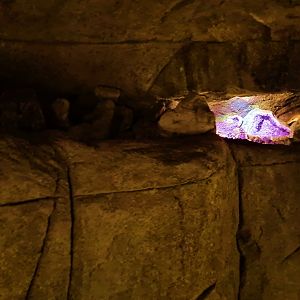 Bush/Desert tunnel - Amethyst display