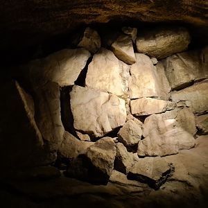 Bush/Desert tunnel - Gold vein display