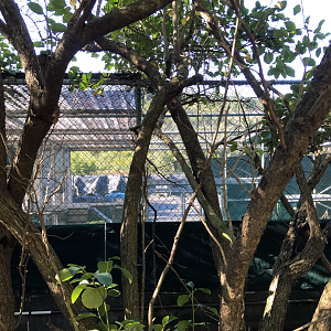 Behind the scenes, temporary holding cage and covered supplies