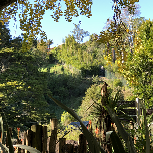 View of the old Deer paddocks