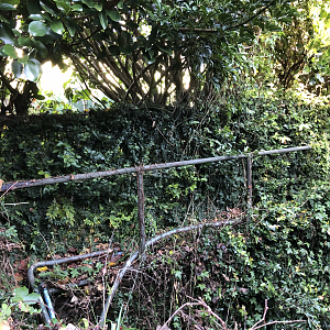 Derelict old over grown fence