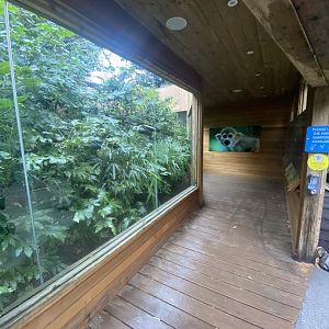 Heart of the Amazon - Squirrel monkey exhibit 140921