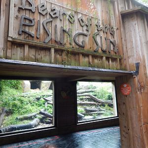 Bears of the Rising Sun - Sun bear exhibit 140921