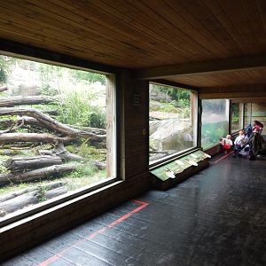 Bears of the Rising Sun - Sun bear exhibit 140921