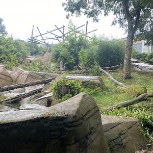 Bears of the Rising Sun - Sun bear exhibit 140921