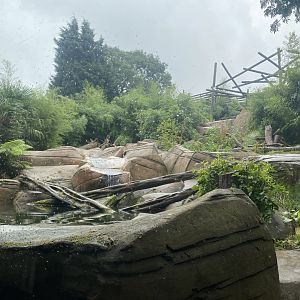 Bears of the Rising Sun - Sun bear exhibit 140921