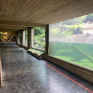 Bears of the Rising Sun - Sun bear exhibit 140921