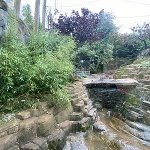 Ussuri Falls - Amur leopard enclosure 140921