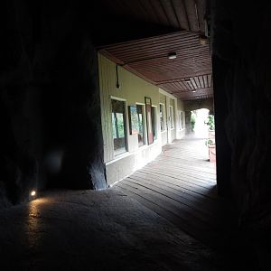 Ussuri Falls - Amur leopard enclosure 140921