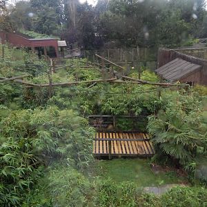 View above Lemur walkthrough 140921