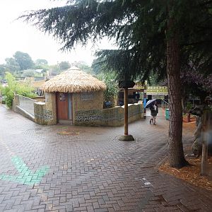 Out of Africa - Meerkat enclosure 140921