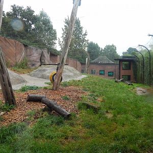 Out of Africa - Lion enclosure 140921