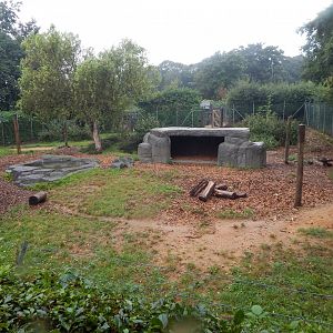 Edge of Africa - Spotted hyena enclosure 140921