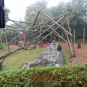 Edge of Africa - Mandrill enclosure 140921