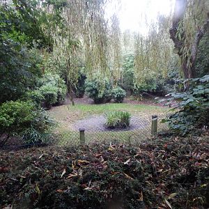 Edge of Africa - Western blue duiker enclosure 140921