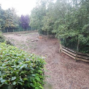 Edge of Africa - Northern warthog enclosure 140921