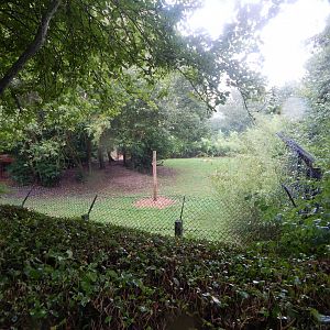 Edge of Africa - South African cheetah enclosure 140921