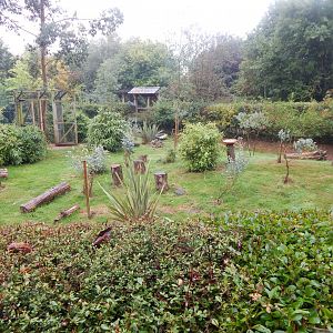 Edge of Africa - Kirk's dik-dik and Grey crowned crane enclosure 140921