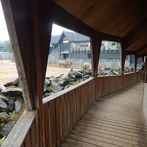 Kingdom of the Wild - Savannah exhibit 140921