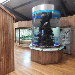 Kingdom of the Wild - Indoor exhibits 140921