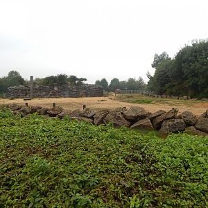 Kingdom of the Wild - African elephant enclosure 140921