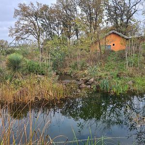 Lemur enclosure (Top view)