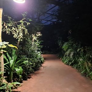 Burgers' Bush at night