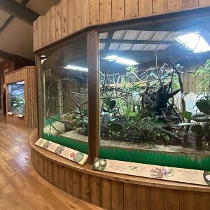 Kingdom of the Wild - Tropical Plant exhibit 140921