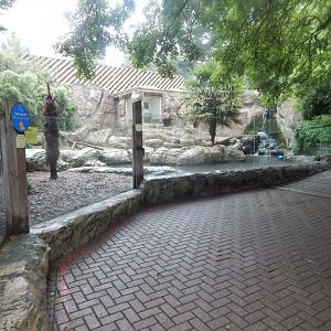 Indochinese smooth-coated otter exhibit 140921