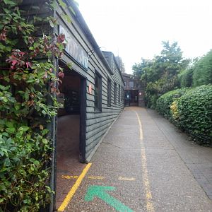 Call of the Wild 140921