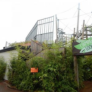 Chimpanzee Lookout 140921