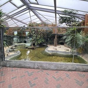 Chimpanzee Lookout - Slender-snouted crocodile exhibit 140921