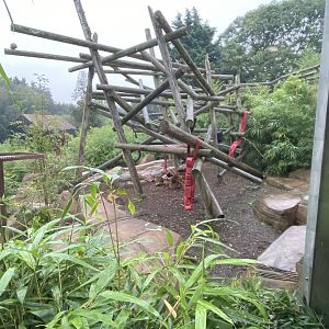 Bears of the Rising Sun - Sun bear exhibit 140921