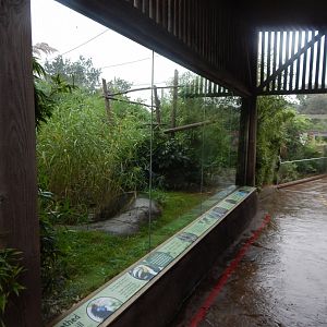 Wilds of Asia - Wreathed hornbill aviary 140921