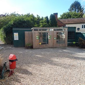 Parrot aviaries 160921