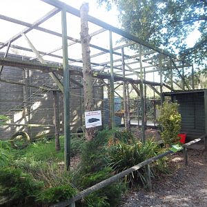 Binturong enclosure 160921