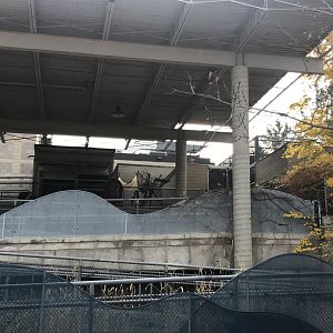 Old Monorail Station & Tamandua Exhibit.