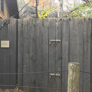 Russia’s Grizzly Coast - Amur Leopard Training Area